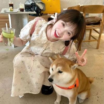 谎心爱漫游